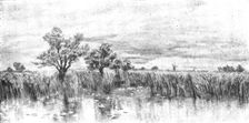 Pictures from the Royal Academy: Probably some Rain - J. Brett, A.R.A., 1895. Creator: George Meisenbach