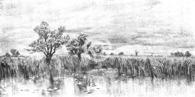 Pictures from the Royal Academy: Probably some Rain - J. Brett, A.R.A., 1895. Creator: George Meisenbach.