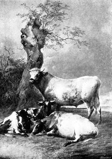 Pictures from the Royal Academy: Repose - T. S. Cooper, R.A., 1895. Creator: George Meisenbach