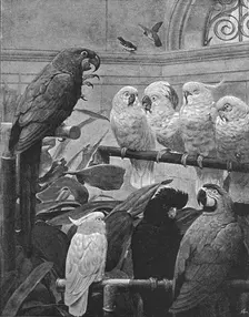 'Pictures of the Year - V." A Select Committee", after HS Marks, RA 1891. Creator: Unknown