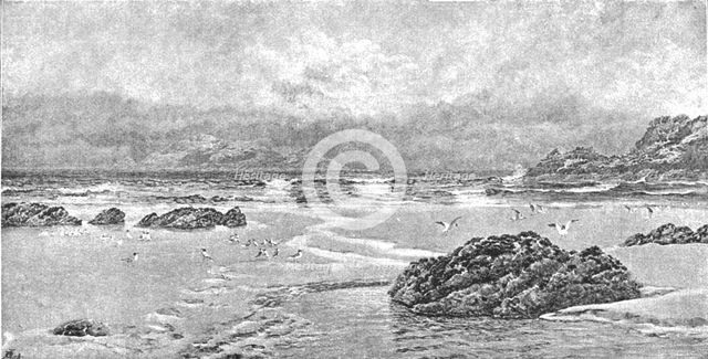 ''Pictures of the Year - V. "Gull Island: A Conversazione", after John Brett, ARA', 1891. Creator: Unknown.