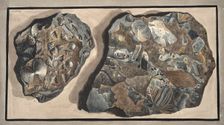Piece of marble composed of fragments of various sorts of marble found in the Fossa Grande, 1776