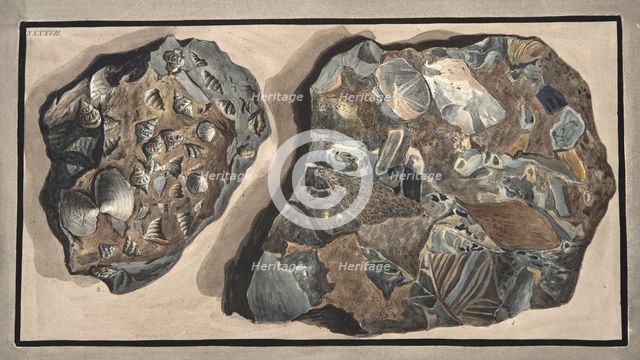 Piece of marble composed of fragments of various sorts of marble found in the Fossa Grande, 1776. 