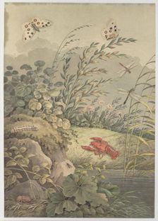 Piece of water with crab, butterflies, dragonflies and sea-buckthorn, c. 1800. Creator: Zingg, Adrian (1734-1816)
