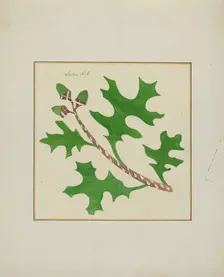 Pieced Autograph Quilt (1 Piece), c. 1936. Creators: Cornelius Christoffels, Margaret Linsley