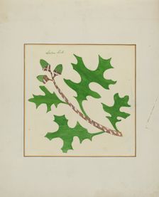 Pieced Autograph Quilt (1 Piece), c. 1936. Creators: Cornelius Christoffels, Margaret Linsley