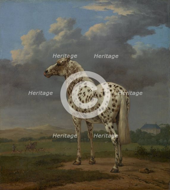 Piebald Horse, ca 1654. Artist: Potter, Paulus (1625-1654)