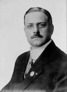 Pierson, Lewis E. Banker; C. of C. of U.S., 1917. Creator: Unknown