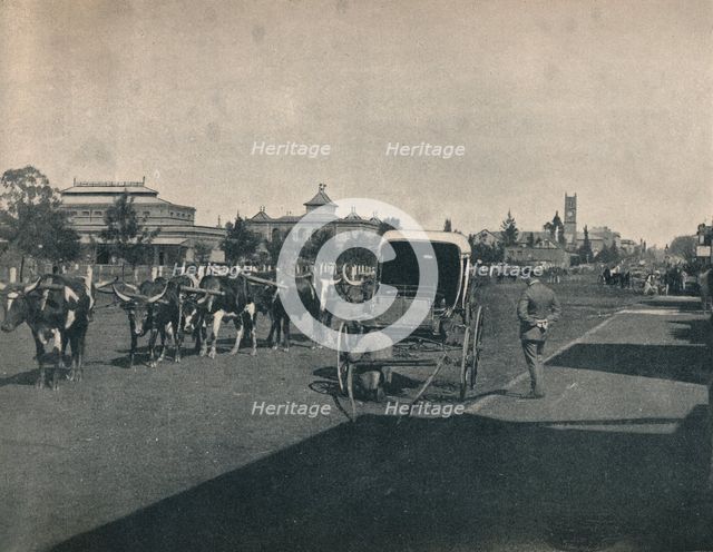 'Pietermaritzburg', c1900. Creator: Unknown.