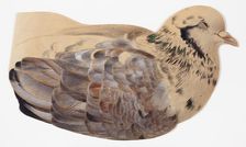 Pigeon, study. Creator: Ferdinand von Wright