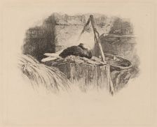 Pigeon sur un nid. Creator: Karl Bodmer