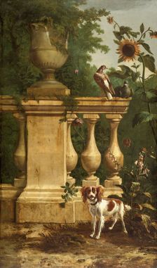 Pigeons and a dog in a garden, c1660-1690. Creator: Melchior d'Hondecoeter