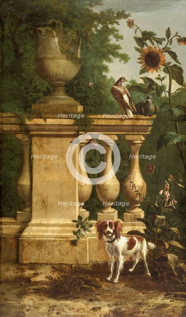 Pigeons and a dog in a garden, c1660-1690. Creator: Melchior d'Hondecoeter.