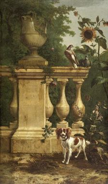 Pigeons and a dog in a garden, c1660-1690. Creator: Melchior d'Hondecoeter