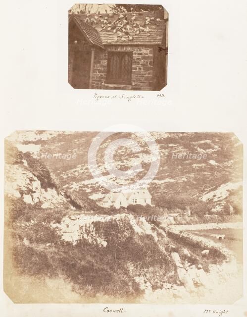 Pigeons at Singleton; Caswell, 1853-1856 Creator: James Knight.