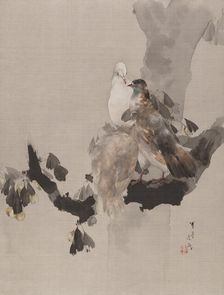 Pigeons in a Tree, ca. 1887. Creator: Watanabe Seitei