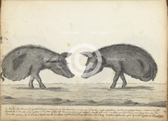 Pigs without hind legs, 1785. Creator: Jan Brandes.