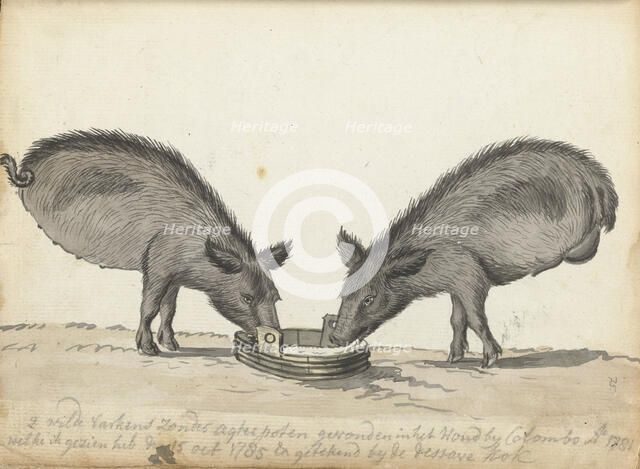 Pigs without hind legs at a trough, 1785. Creator: Jan Brandes.