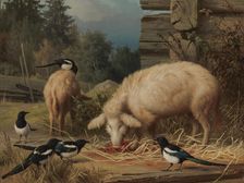 Pigs and Magpies, 1875. Creator: Ferdinand von Wright