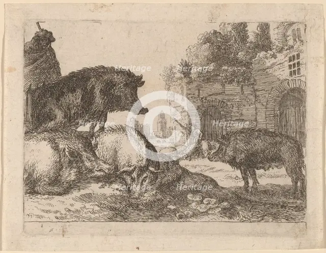 Pigs. Creator: Herman van Swanevelt.