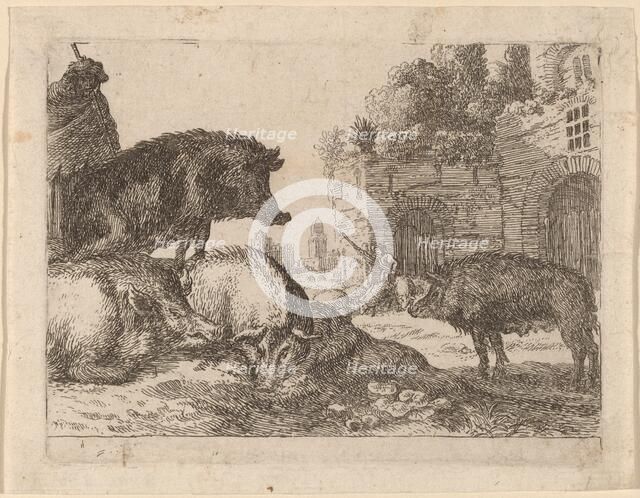 Pigs. Creator: Herman van Swanevelt.