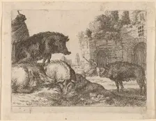 Pigs. Creator: Herman van Swanevelt