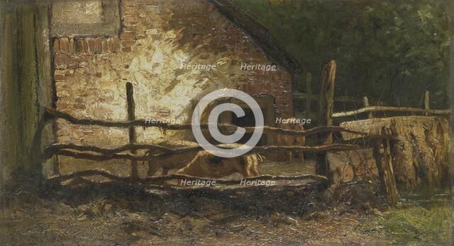 Pigs in a Sty, 1870-1910. Creator: Louis Apol.