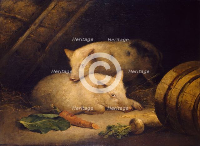 Pigs, late 18th century. Creator: George Morland.