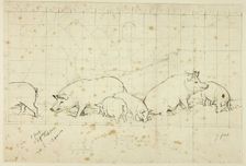 Pigs, n.d. Creator: Henry Stacy Marks