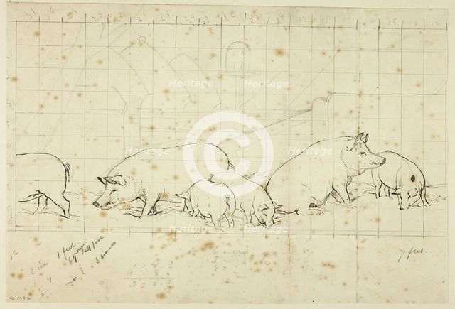 Pigs, n.d. Creator: Henry Stacy Marks.