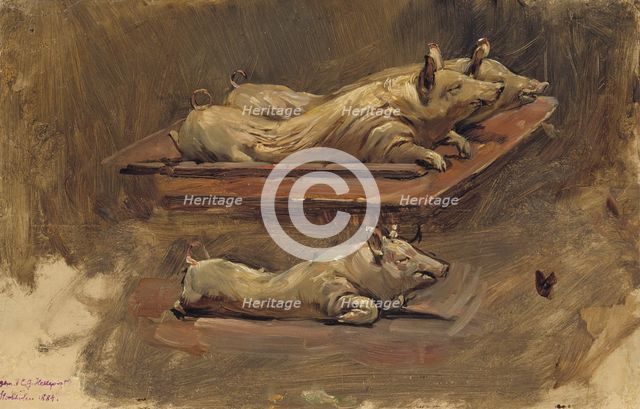 Pigs. Study for During Fasting Time, 1884. Creator: Carl Gustaf Hellqvist.