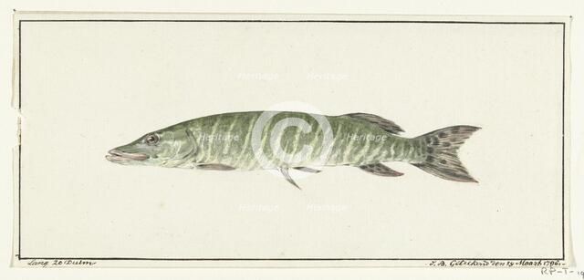 Pike, 1796. Creator: Jean Bernard.