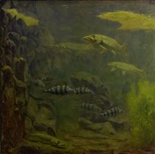 Pike and Perch in an Aquaruim, 1910-1920. Creator: Gerrit Willem Dijsselhof
