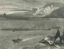Pilchard Fishing off the Lizard c1870