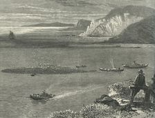 Pilchard Fishing off the Lizard c1870