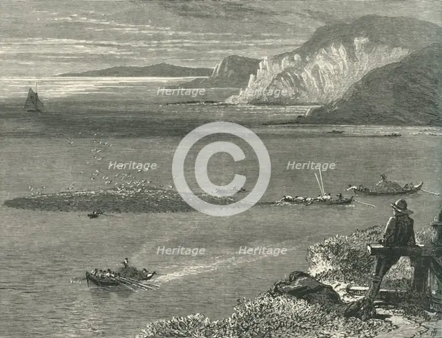 'Pilchard Fishing off the Lizard', c1870.