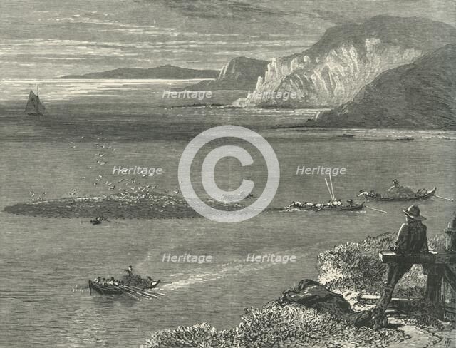 'Pilchard Fishing off the Lizard', c1870.