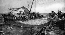 Pilchards 1900