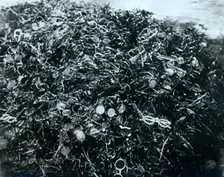 Pile of pairs of spectacles, Auschwitz concentration camp, Poland, 20th century. Creator: Unknown