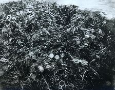 Pile of pairs of spectacles, Auschwitz concentration camp, Poland, 20th century