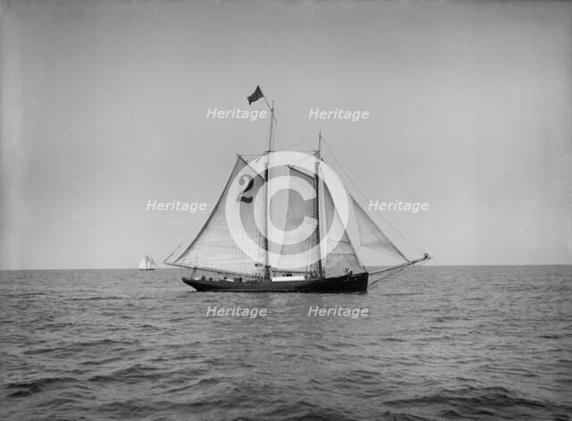 Pilot boat no. 2, between 1900 and 1905. Creator: Unknown.
