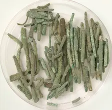 Pin and Wire Fragments, Coptic, 4th-7th century. Creator: Unknown