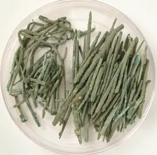Pin, Wire and Nail Fragments, Coptic, 4th-7th century. Creator: Unknown