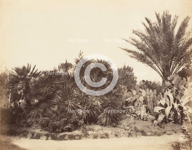 Pincian Garden, Rome, 1853-56. Creator: Possibly by Jane Martha St. John.