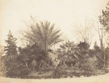 Pincian Garden, Rome, 1853-56. Creator: Possibly by Jane Martha St. John