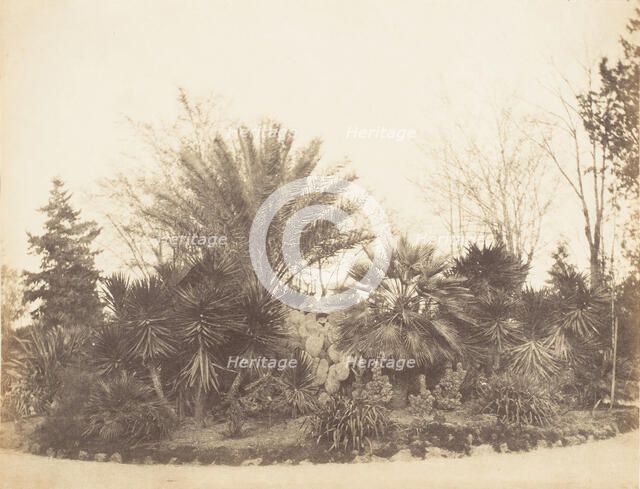 Pincian Garden, Rome, 1853-56. Creator: Possibly by Jane Martha St. John.