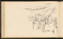 Pine Tree, 1882/1885. Creator: Paul Cezanne