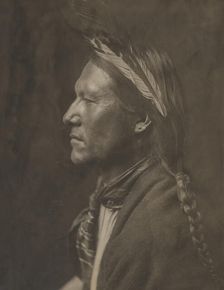 Pine Tree, 1905. Creator: Edward Sheriff Curtis