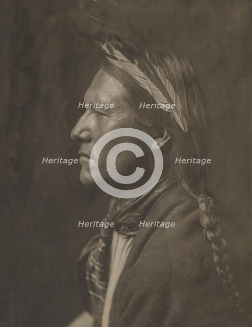 Pine Tree, 1905. Creator: Edward Sheriff Curtis.