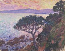 Pine Tree near the Mediterranean Sea at Sunset, 1915. Creator: Théo van Rysselberghe